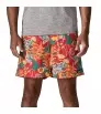 Patagonia Baggies Longs Shorts 7