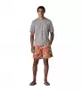 Patagonia Baggies Longs Shorts 7