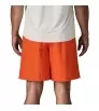 Patagonia Baggies Longs Shorts 7