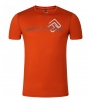 Тениска Direct Alpine Furry 3.0 M's