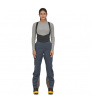Гащеризон Patagonia W's Dual Aspect Bibs Winter 2024